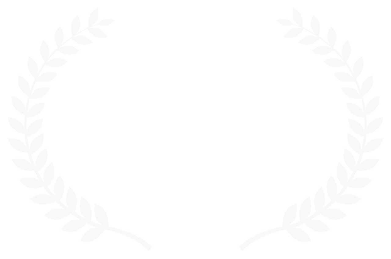 OFFICIAL SELECTION - Maverick Movie Awards - 2017